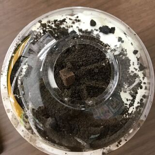 チョコレート オンザ チョコレート フラペチーノ オンザ チョコレート フラペチーノ チョコレート