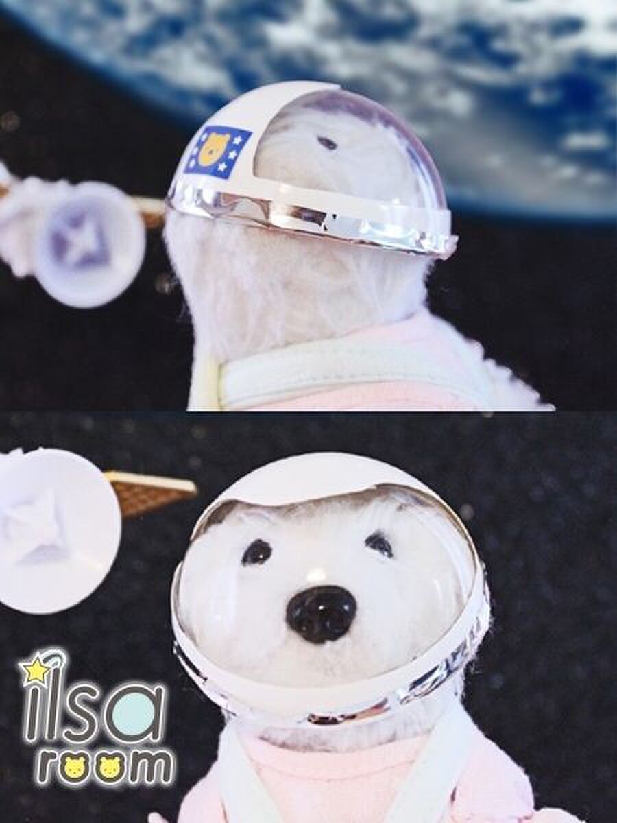 宇宙パーティー かぶれる 宇宙服 ヘルメット 暮らしニスタ 宇宙パーティー かぶれる 宇宙服 ヘルメット 暮らしニスタ