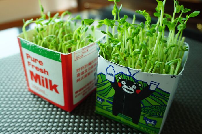 まだまだあった 牛乳パックの再利用アイデア おうち時間が盛り上がる活用術も 暮らしニスタ まだまだあった 牛乳パックの再利用アイデア おうち時間が盛り上がる活用術も 暮らしニスタ