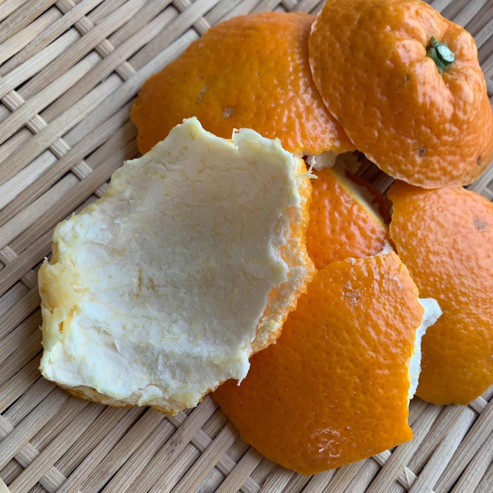 オレンジの皮でコンロを磨いたら劇的きれいになった！