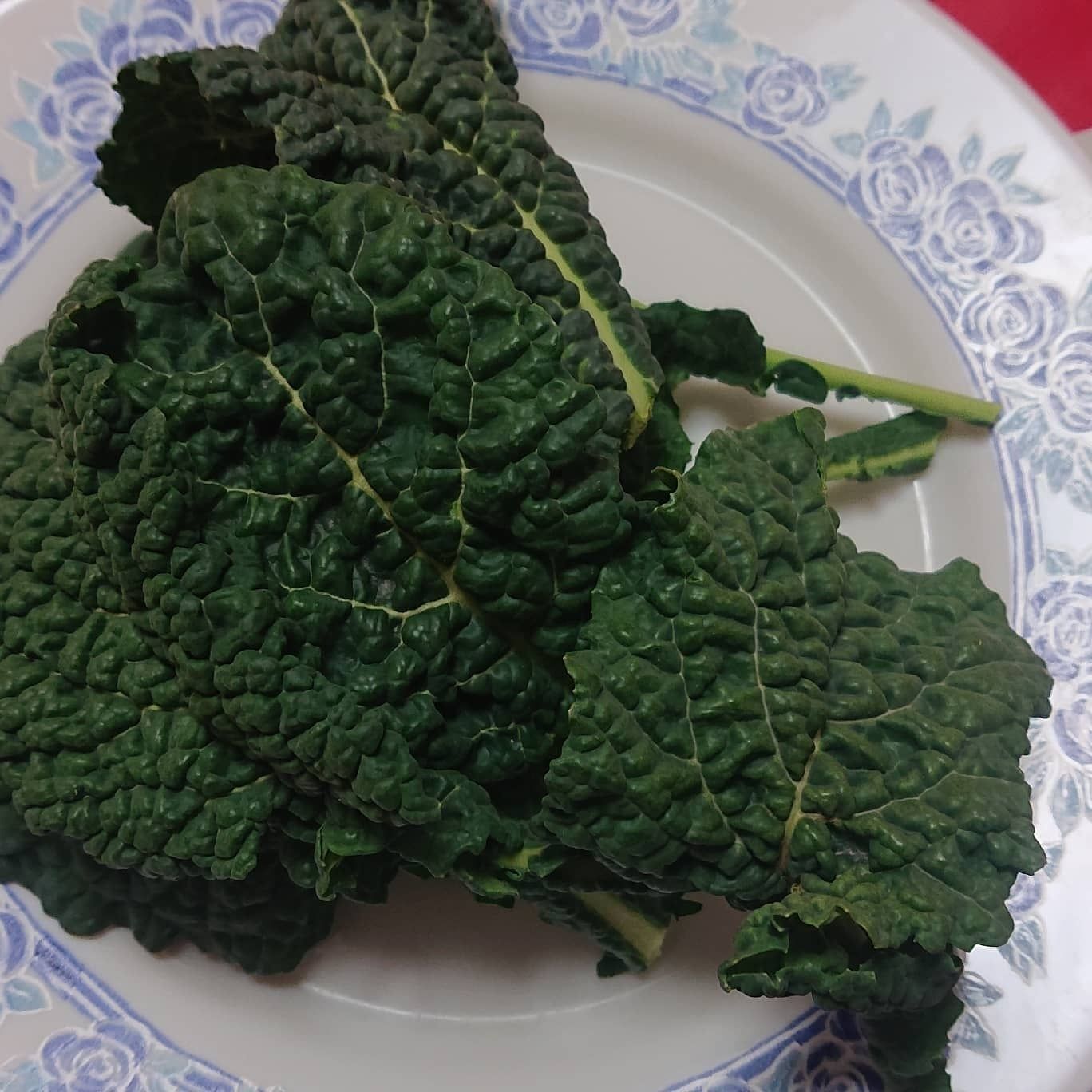 黒キャベツ、カーボロ‐ネロ【cavolo nero】