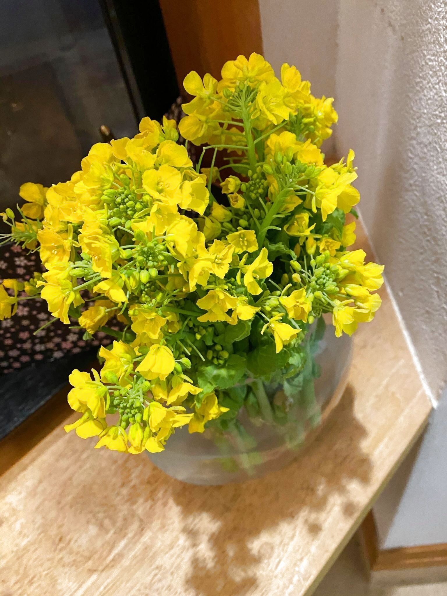70円の花束 飾るために買う野菜売り場の菜の花 暮らしニスタ