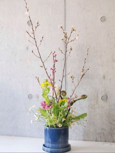 ひな祭りに花を飾ろう 暮らしニスタ ひな祭りに花を飾ろう 暮らしニスタ