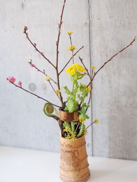 ひな祭りに花を飾ろう 暮らしニスタ ひな祭りに花を飾ろう 暮らしニスタ