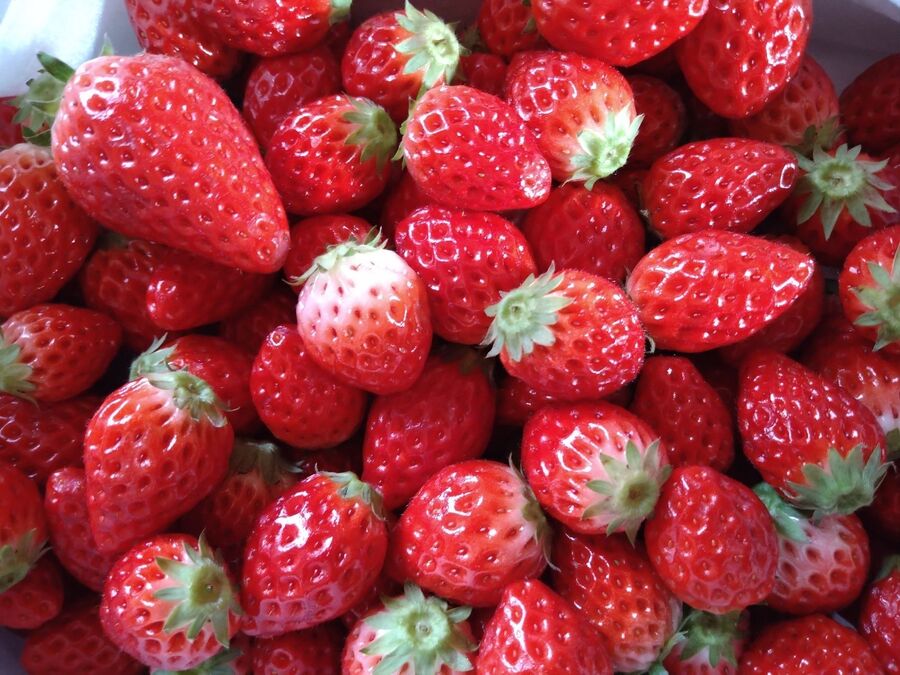小粒イチゴが 安っす い時 には 暮らしニスタ 小粒イチゴが 安っす い時 には 暮らしニスタ