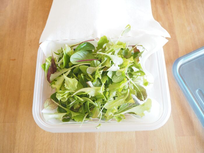 安いとき買いだめしても大丈夫 ベビーリーフ 長持ち保存法 暮らしニスタ 安いとき買いだめしても大丈夫 ベビーリーフ 長持ち保存法 暮らしニスタ