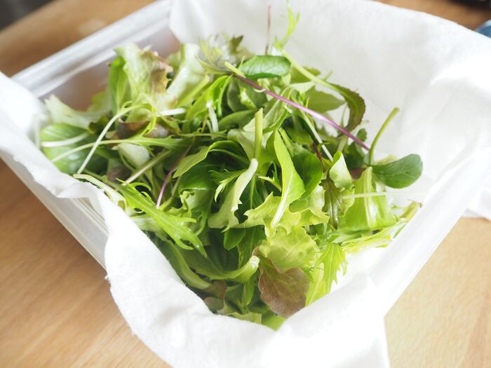 安いとき買いだめしても大丈夫 ベビーリーフ 長持ち保存法 暮らしニスタ