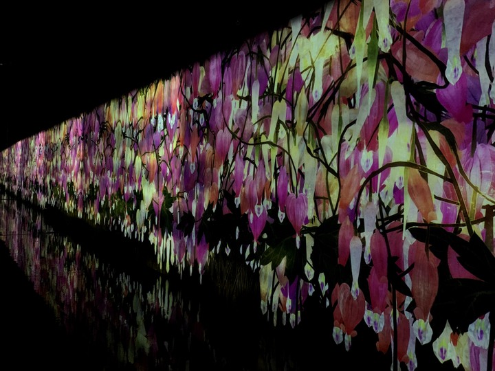 「チームラボ」の新たなアート体験♪「TikTok チームラボリコネクト」サウナで「ととのい」アートを鑑賞!