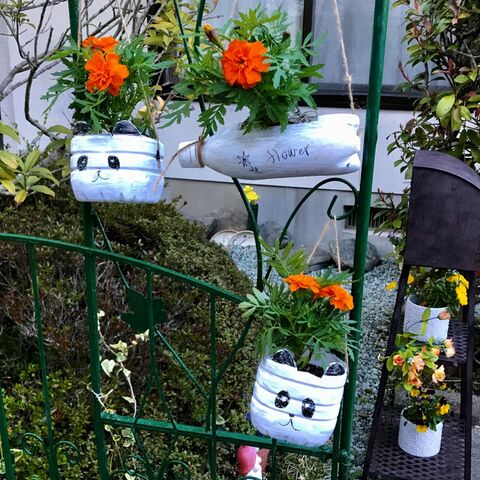 マリーゴールドで防虫効果 ついでに鉢も作っちゃいました 暮らしニスタ マリーゴールドで防虫効果 ついでに鉢も作っちゃいました 暮らしニスタ