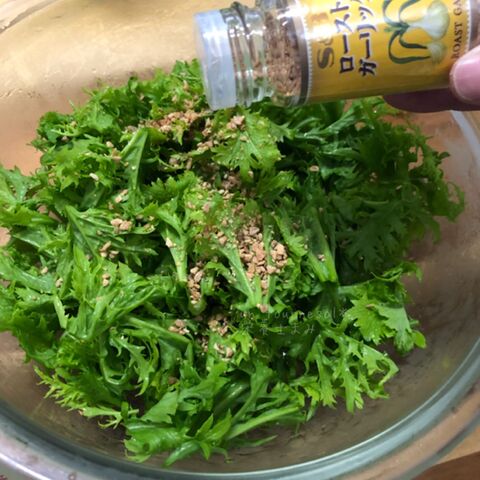 刻んで混ぜるだけ 免疫力アップ わさび菜のガーリックチョレギサラダ 暮らしニスタ 刻んで混ぜるだけ 免疫力アップ わさび菜のガーリックチョレギサラダ 暮らしニスタ