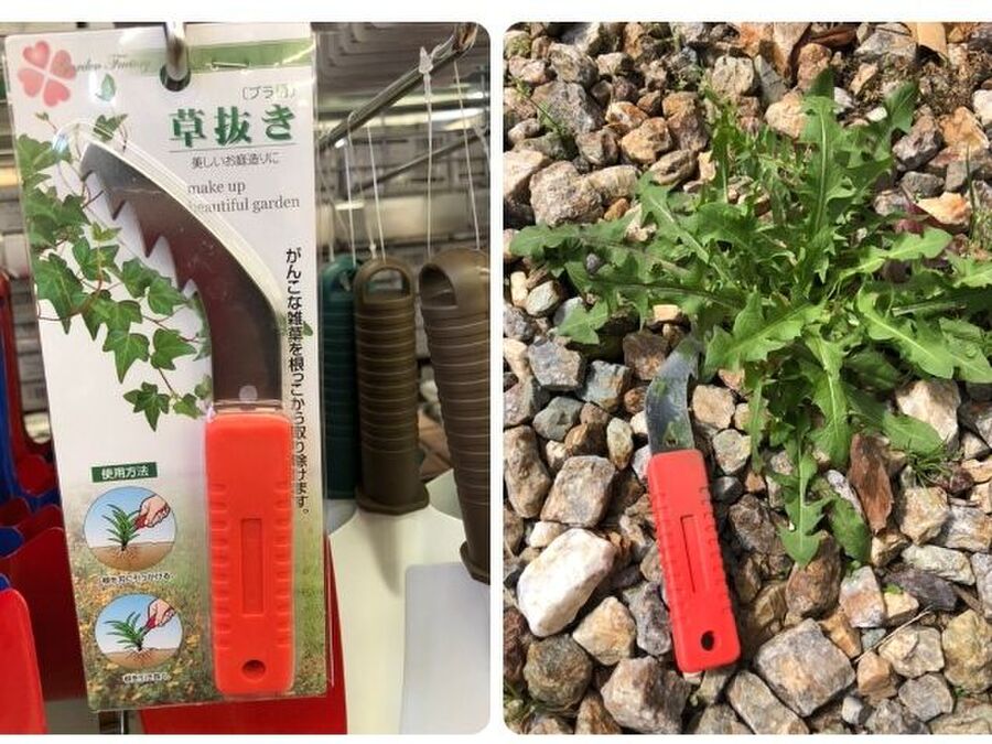 甘く見過ぎた この 草抜き 凄い 暮らしニスタ 甘く見過ぎた この 草抜き 凄い 暮らしニスタ