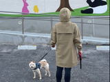 愛犬のおさんぽファッションに大活躍っ！