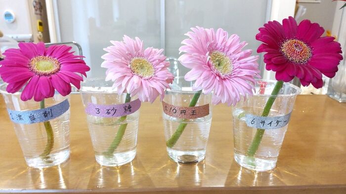 まさかの結末 切り花を長持ちさせるには が一番 身近な6つで比較 暮らしニスタ まさかの結末 切り花を長持ちさせるには が一番 身近な6つで比較 暮らしニスタ