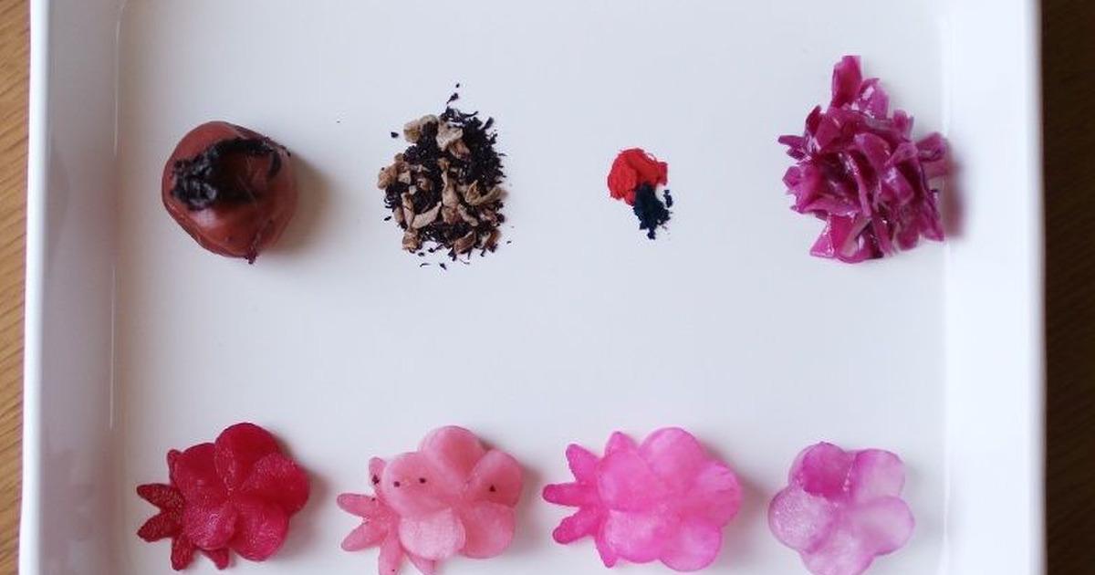 食材料による花大根染め お弁当デコ初級者が知っておくと良いtip 料理のレシピや作り方 暮らしニスタ