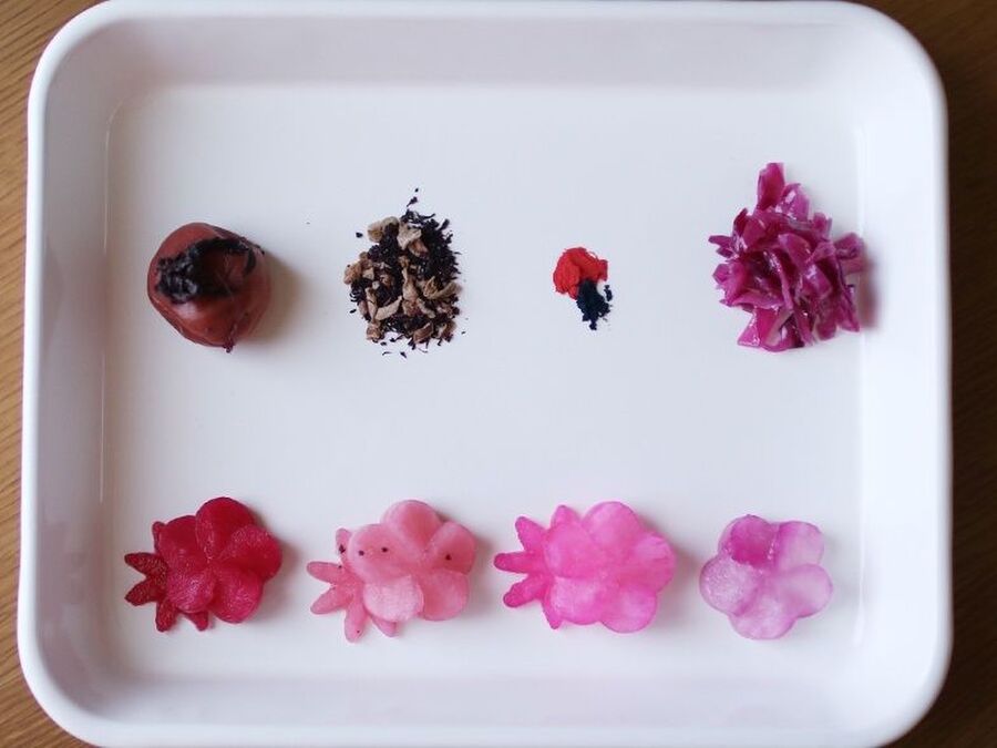 食材料による花大根染め お弁当デコ初級者が知っておくと良いtip 料理のレシピや作り方 暮らしニスタ 食材料による花大根染め お弁当デコ初級者が知っておくと良いtip 料理のレシピや作り方 暮らしニスタ