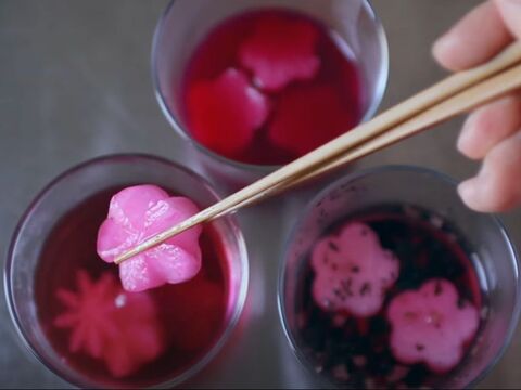 食材料による花大根染め お弁当デコ初級者が知っておくと良いtip 暮らしニスタ 食材料による花大根染め お弁当デコ初級者が知っておくと良いtip 暮らしニスタ