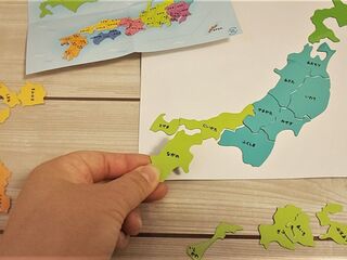 クオリティ高過ぎ 子どもとどハマりした100均 フレークマグネット 暮らしニスタ