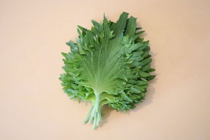 野菜が驚くほど長持ち キッチンペーパーの知らなきゃ損する活用法 暮らしニスタ