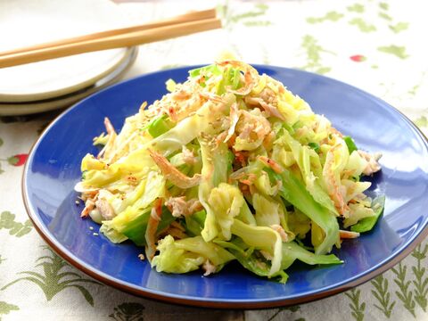 くらし薬膳 レンチン時短レシピ 胃腸も元気に キャベツとツナのおかず 春の薬膳 暮らしニスタ くらし薬膳 レンチン時短レシピ 胃腸も元気に キャベツとツナのおかず 春の薬膳 暮らしニスタ