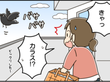 一発撃退！カラス対策に効果てきめんの方法とは？【家事コツ⑦】