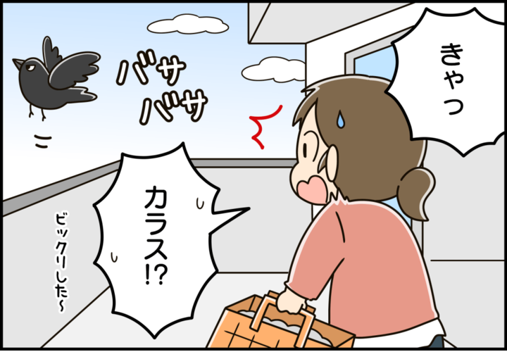 一発撃退！カラス対策に効果てきめんの方法とは？【家事コツ⑦】