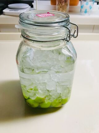 このサイズ自家製梅酒にピッタリなんです O 暮らしニスタ このサイズ自家製梅酒にピッタリなんです O 暮らしニスタ