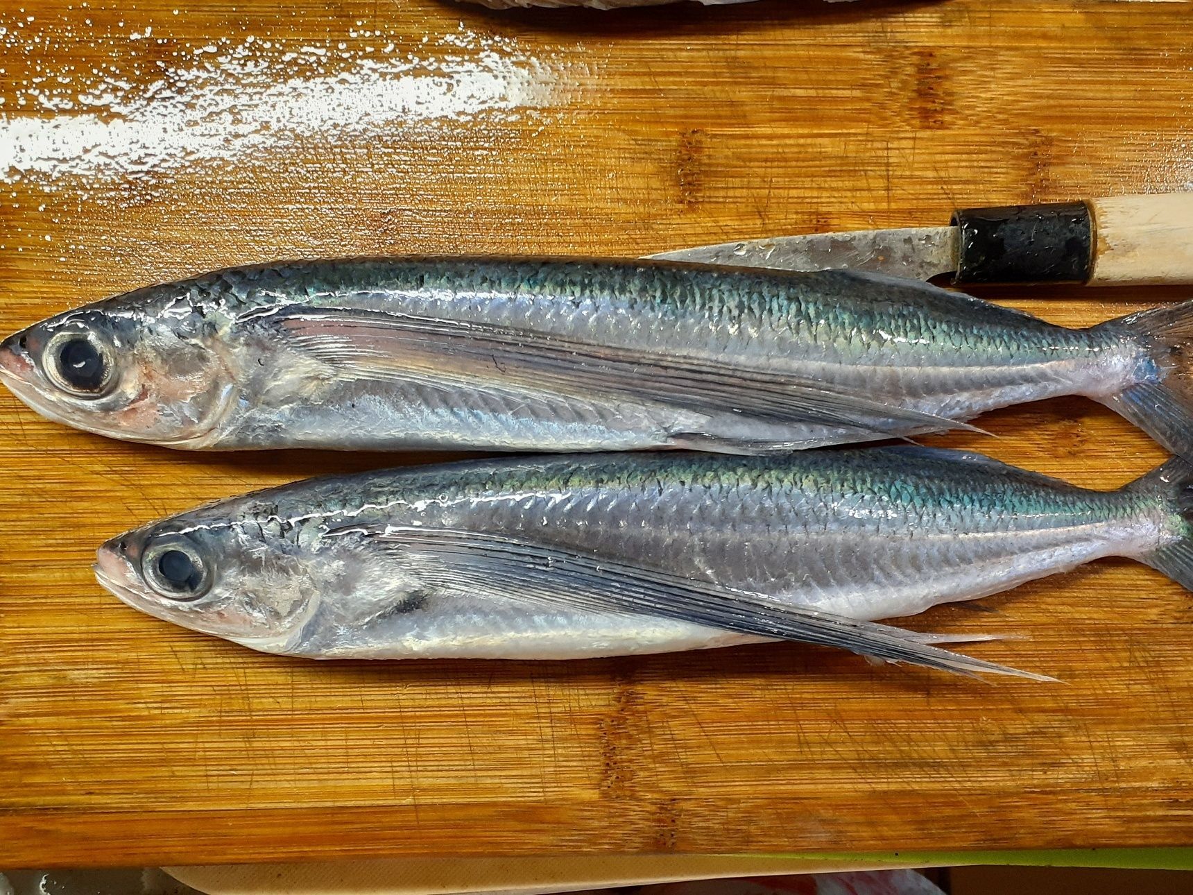 おうちで居酒屋気分 トビウオのお造り ホタルイカの唐揚げ 他 オレンジシャーベット 暮らしニスタ