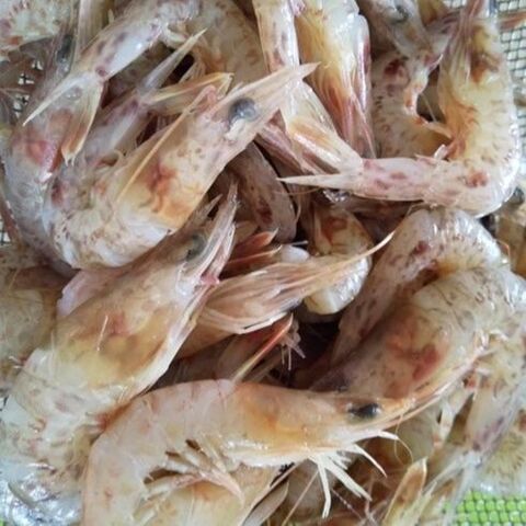 この方法だと油がはねない じゃこエビのカリカリ揚げ 暮らしニスタ この方法だと油がはねない じゃこエビのカリカリ揚げ 暮らしニスタ
