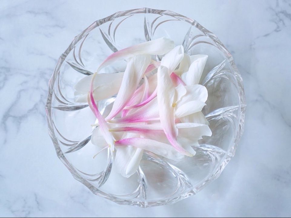 ガラス皿に、花びらをランダムに並べる