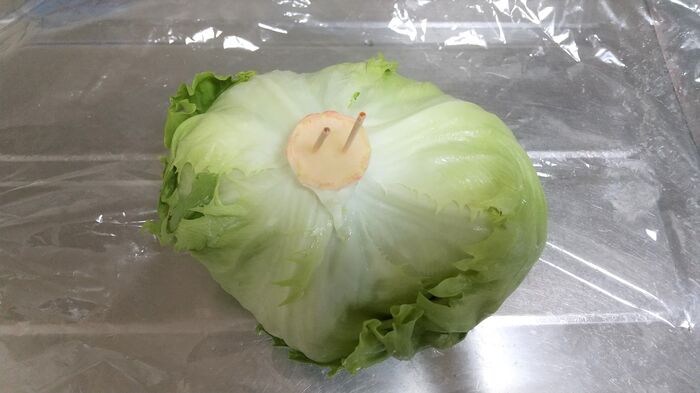 捨てないで 割り箸袋の 爪楊枝 は食後以外にもこんなに便利に使えます 暮らしニスタ 捨てないで 割り箸袋の 爪楊枝 は食後以外にもこんなに便利に使えます 暮らしニスタ