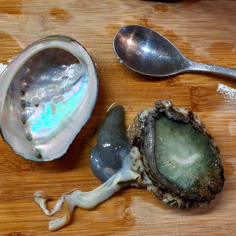 アワビ御膳 保冷剤の活用 暮らしニスタ アワビ御膳 保冷剤の活用 暮らしニスタ