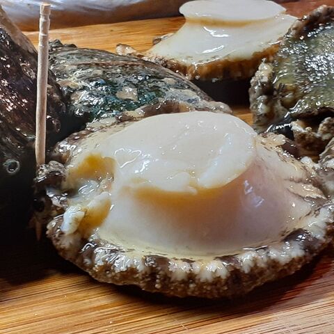 アワビ御膳 保冷剤の活用 暮らしニスタ アワビ御膳 保冷剤の活用 暮らしニスタ