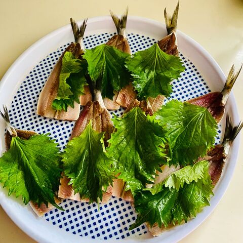 味付けはいらない 今が旬 イワシの大葉焼き 暮らしニスタ 味付けはいらない 今が旬 イワシの大葉焼き 暮らしニスタ