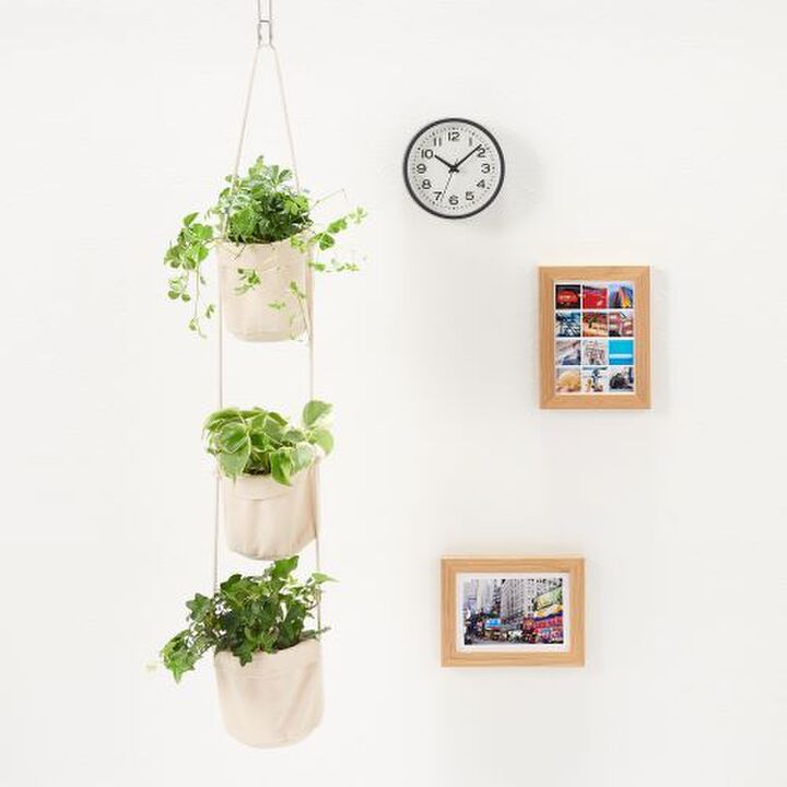 オンラインでも買える!無印良品で人気のインドアグリーン