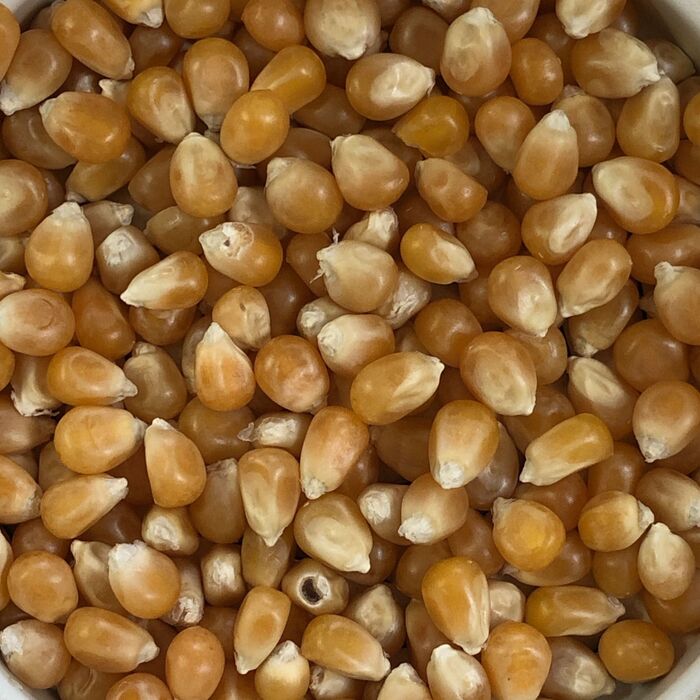 豆をポップコーンメーカーに適量セットします