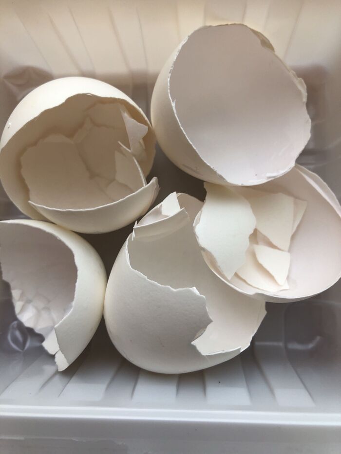 卵の殻を良く洗って内側についている薄い膜(まく)を取りましょう