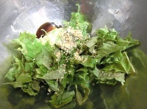 大量消費に ちぎり大葉のナムル 暮らしニスタ 大量消費に ちぎり大葉のナムル 暮らしニスタ