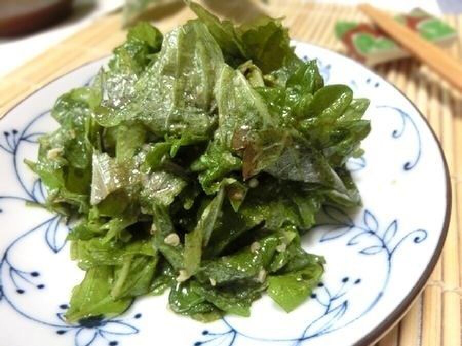 大量消費に ちぎり大葉のナムル 暮らしニスタ 大量消費に ちぎり大葉のナムル 暮らしニスタ