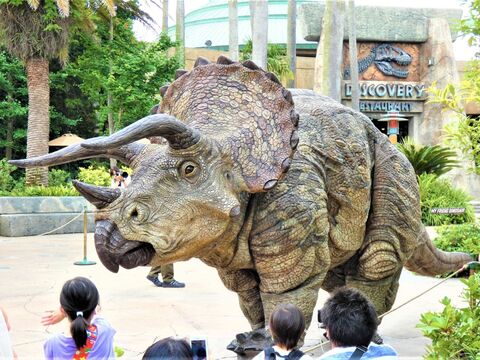 Usj 大人もワクワク 癒される マイフレンドダイナソー 暮らしニスタ Usj 大人もワクワク 癒される マイフレンドダイナソー 暮らしニスタ