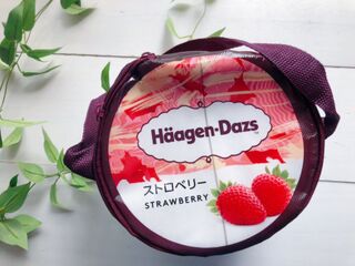 ハーゲンダッツ 可愛い保冷バッグinアイスクリームのセット 暮らしニスタ