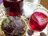 赤シソの葉は『虫』が付いている事があるのでよ〜く洗ってネ❢