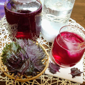 赤シソの葉は『虫』が付いている事があるのでよ〜く洗ってネ❢