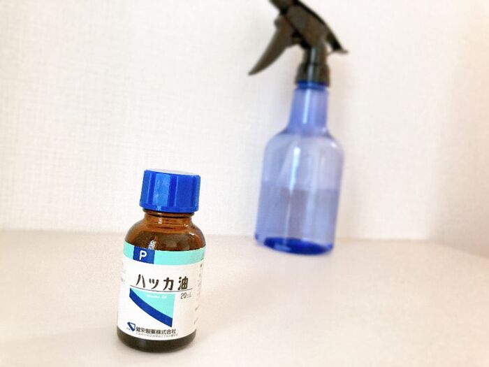 虫よけスプレーは簡単に作れます 家計にも優しい ハッカ油スプレー の使い方 暮らしニスタ 虫よけスプレーは簡単に作れます 家計にも優しい ハッカ油スプレー の使い方 暮らしニスタ