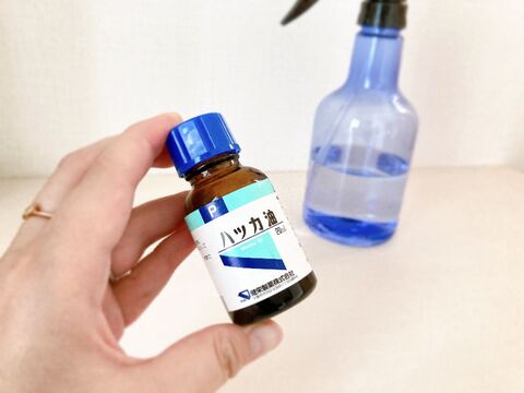 虫よけスプレーは簡単に作れます 家計にも優しい ハッカ油スプレー の使い方 暮らしニスタ 虫よけスプレーは簡単に作れます 家計にも優しい ハッカ油スプレー の使い方 暮らしニスタ