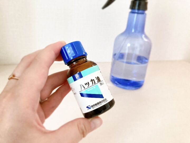 虫よけスプレーは簡単に作れます♪家計にも優しい「ハッカ油スプレー」の使い方