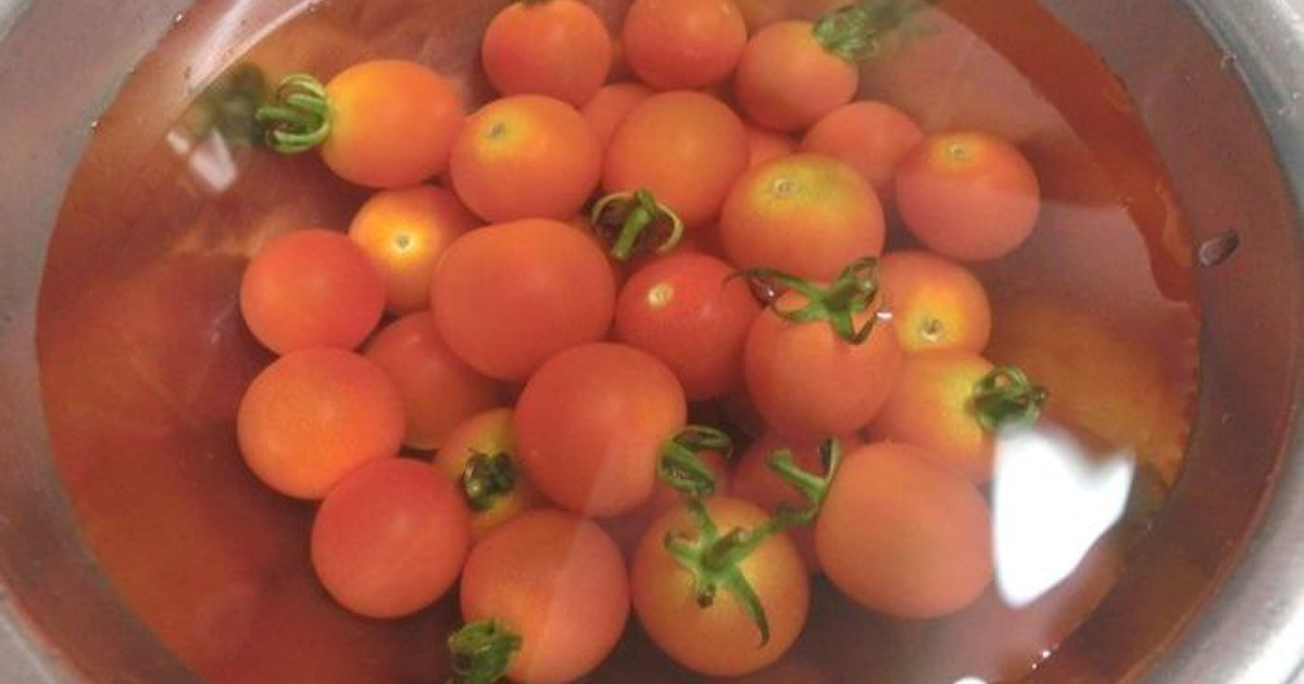 トマトの残留農薬は重曹でガッツリ落とそう 浸けておいた水の色に衝撃 暮らしニスタ