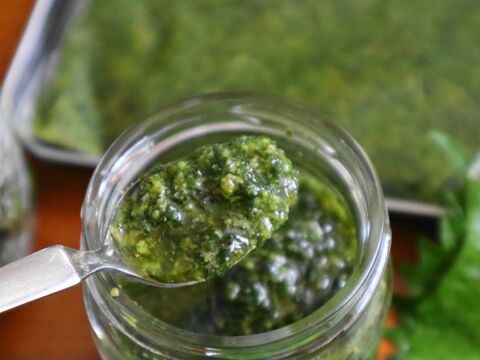 青じそ大量消費 爽やかなのにコクもある 大葉ジェノベーゼソース 暮らしニスタ 青じそ大量消費 爽やかなのにコクもある 大葉ジェノベーゼソース 暮らしニスタ