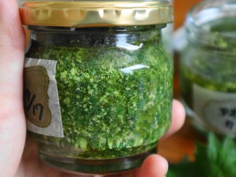 青じそ大量消費 爽やかなのにコクもある 大葉ジェノベーゼソース 暮らしニスタ 青じそ大量消費 爽やかなのにコクもある 大葉ジェノベーゼソース 暮らしニスタ
