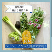 再生OK！シナシナになった野菜を再利用して節約する！