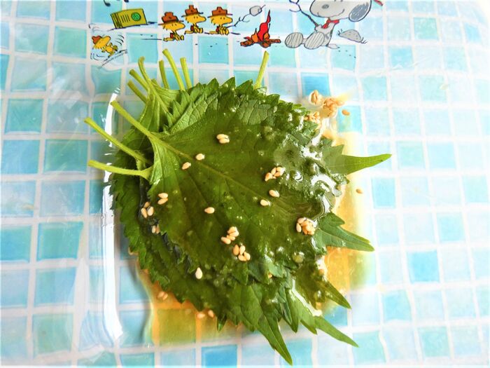 余った青じそドレッシング サラダじゃない 使い方で激うま活用 暮らしニスタ 余った青じそドレッシング サラダじゃない 使い方で激うま活用 暮らしニスタ